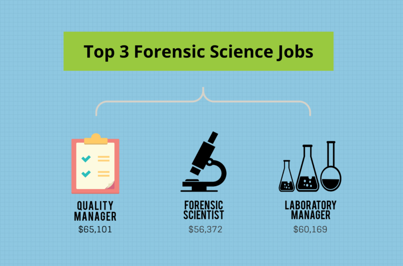 Bachelor of science in forensic science jobs