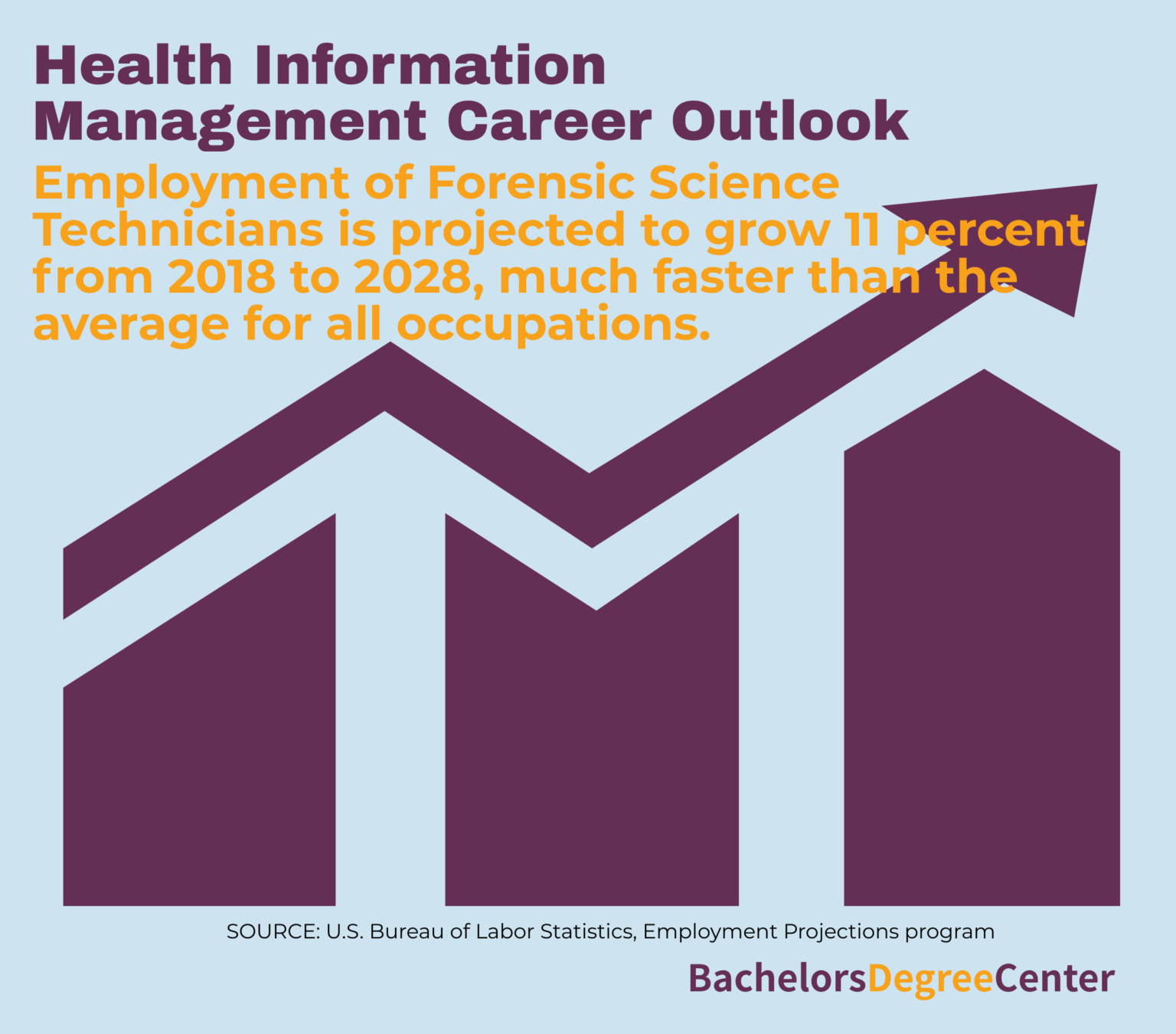 What Can I Do With A Health Informatics Bachelor's Degree? - Bachelors ...