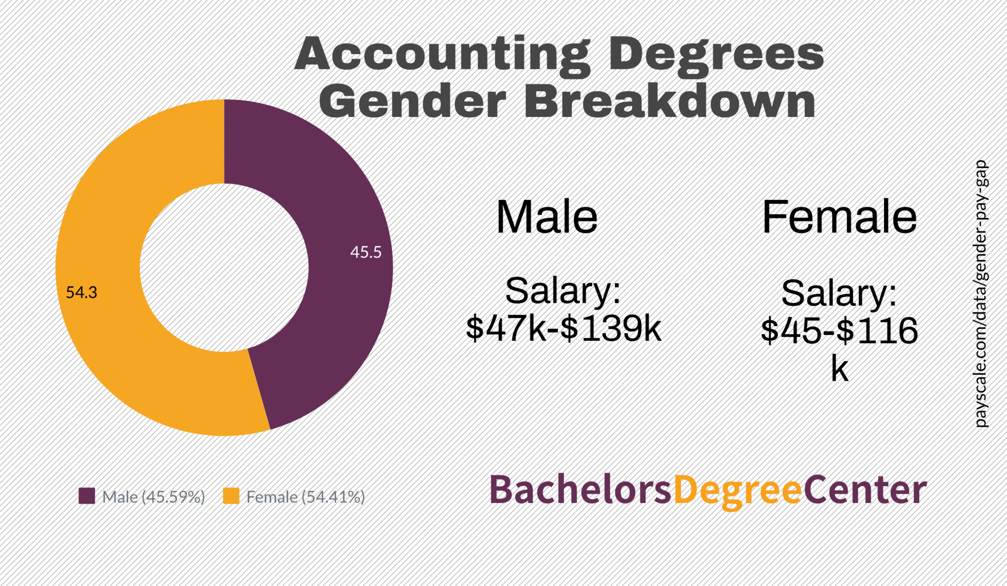 Can I Become a CPA With a Bachelor's Degree? - Bachelors Degree Center