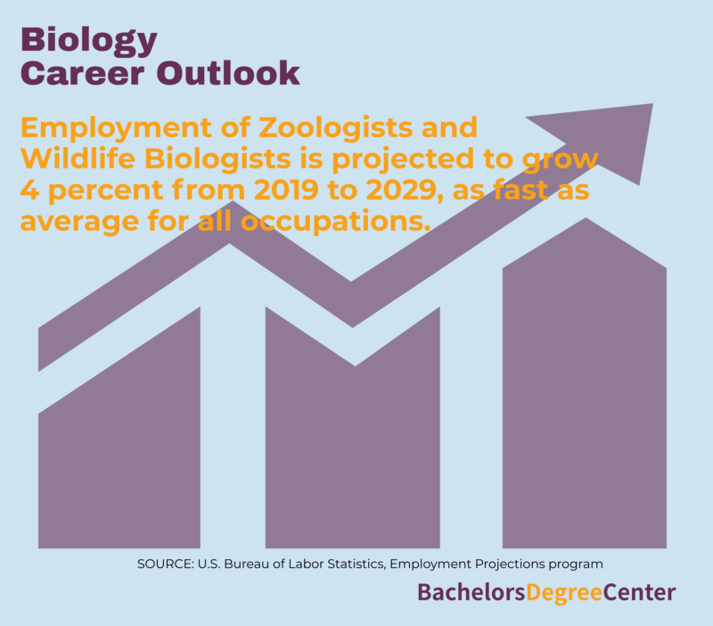 what-can-i-do-with-a-bachelor-s-in-biology-bachelors-degree-center