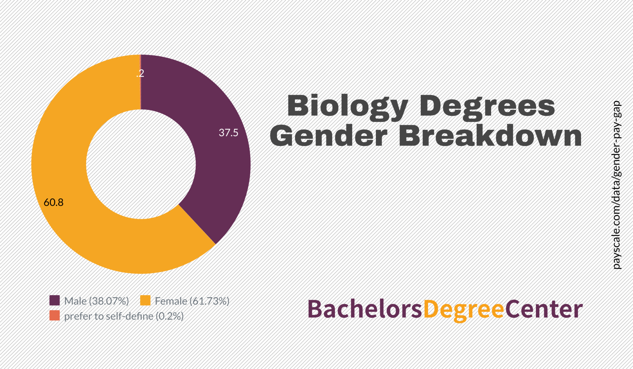 What Can I Do With A Bachelor's In Biology? - Bachelors Degree Center