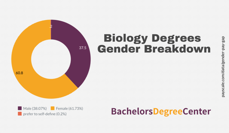 What Can I Do With A Bachelors In Biology Bachelors Degree Center 6643