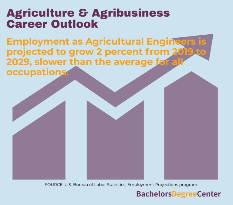 What Can I Do with a Agriculture and Agribusiness Degree? Bachelors