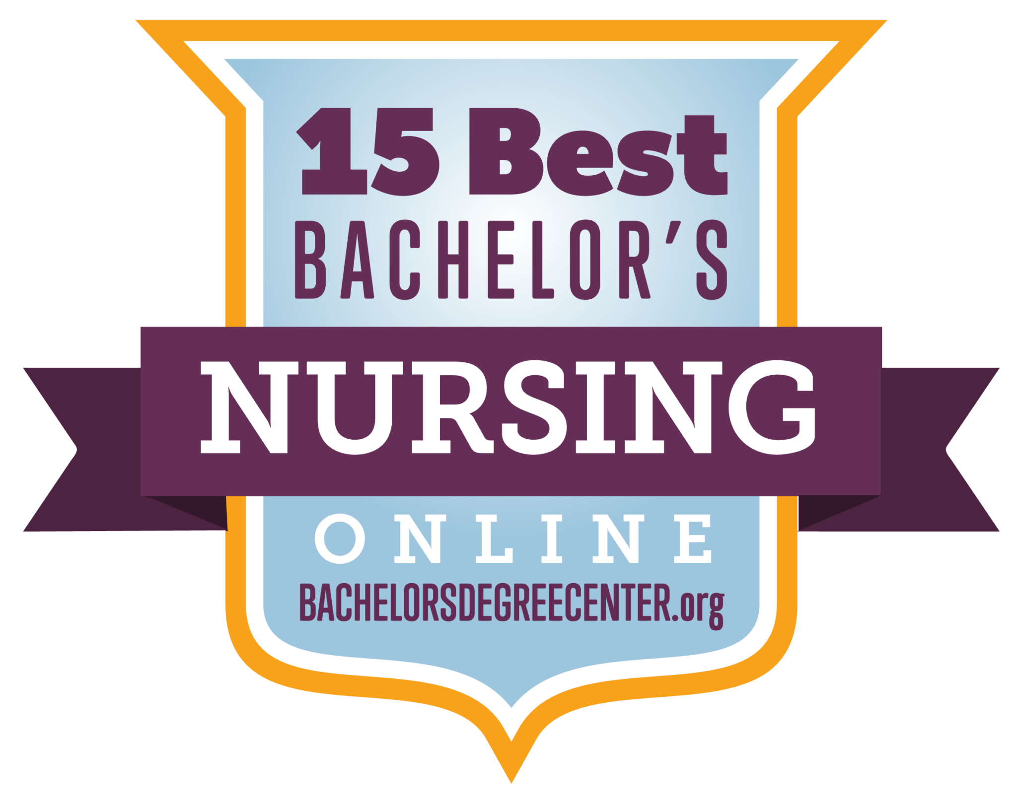 15 Best Online BSN Programs For 2022